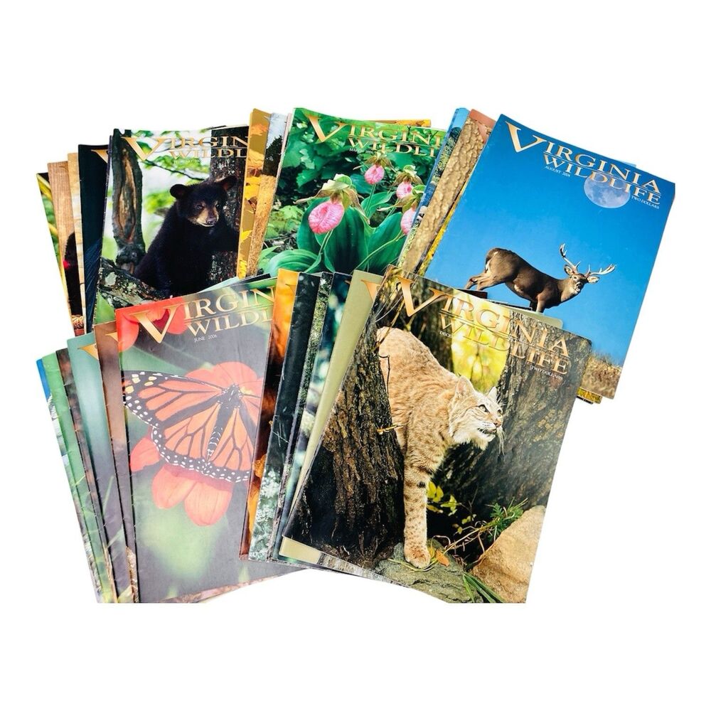 Virginia Wildlife Magazines 90's-2000's Lot of 34 Vintage Outdoors Nature Animal